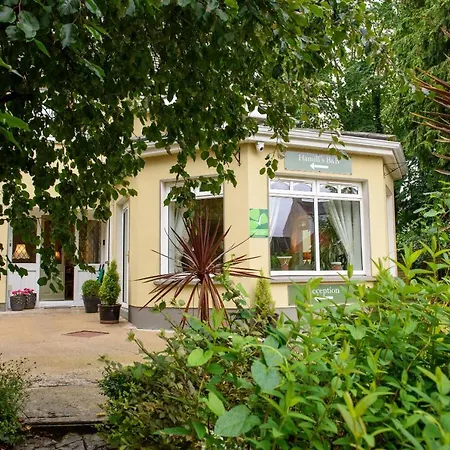 Guest house Hamill's