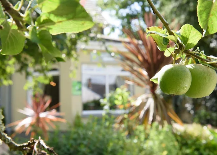 Maison d'hôtes Hamill's 3*