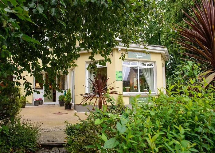 Maison d'hôtes Hamill's