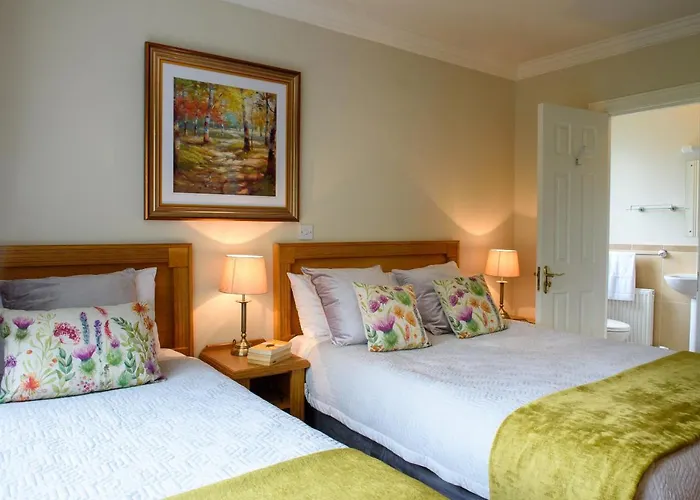 Hamill's Maison d'hôtes Ballinamore